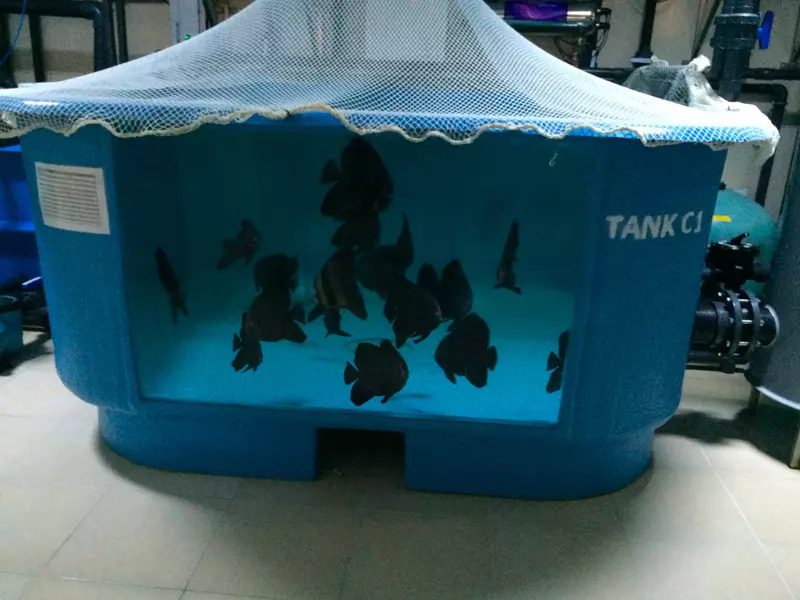 fibropol akvaryum tankları