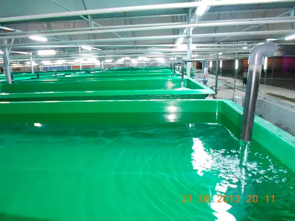 fibropol recirculating aquaculture system (RAS)